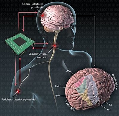 Brain-Inspired Computing